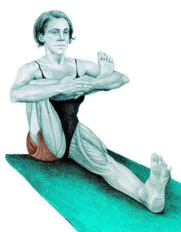 Anatomi peregangan: postur setengah duduk merpati