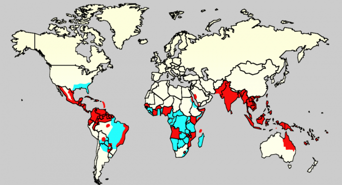 Wilayah distribusi vektor virus Zika