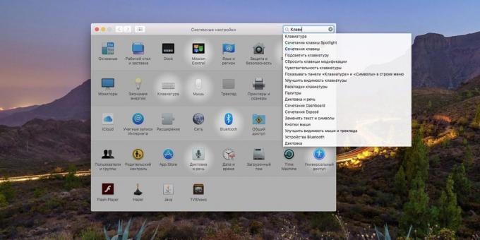 pengaturan sistem MacOS: Cara menggunakan kolom pencarian