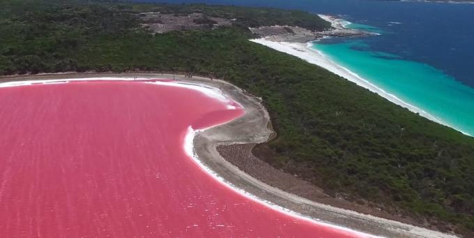 Hebatnya tempat yang indah: Rose Danau Hillier, Australia