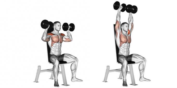 Program Rumah Workouts: Dumbbell bench press up