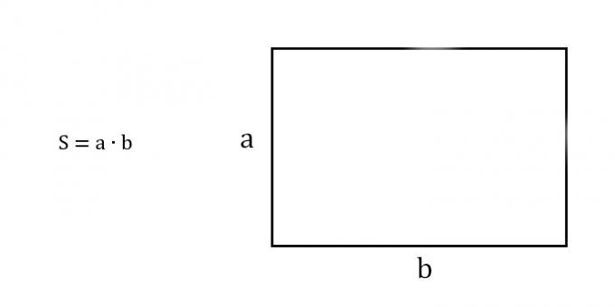 Bagaimana mencari luas persegi panjang dengan mengetahui dua sisi yang berdekatan