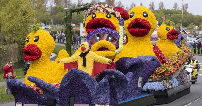 warna Parade Bloemencorso