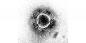 Berapa lama kekebalan terhadap virus corona baru bertahan?