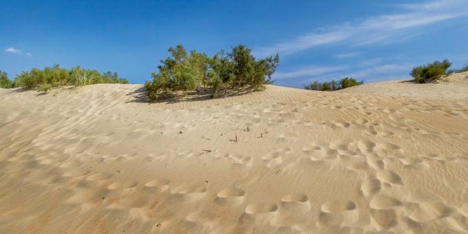 Atraksi Anapa: bukit pasir di Dzhemet