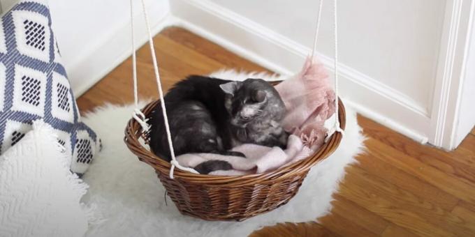 Cara membuat tempat tidur gantung untuk kucing dari keranjang