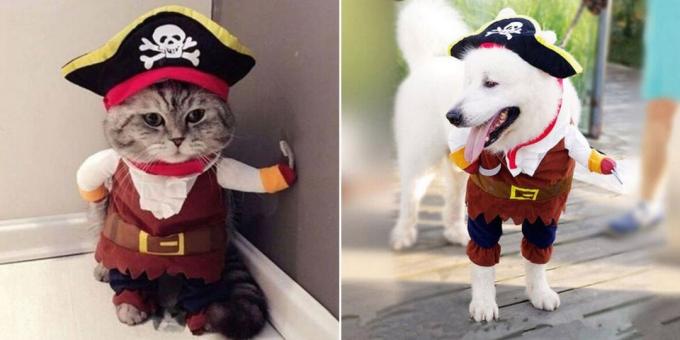 kostum Natal untuk anjing dan kucing: Fluffy Bajak Laut