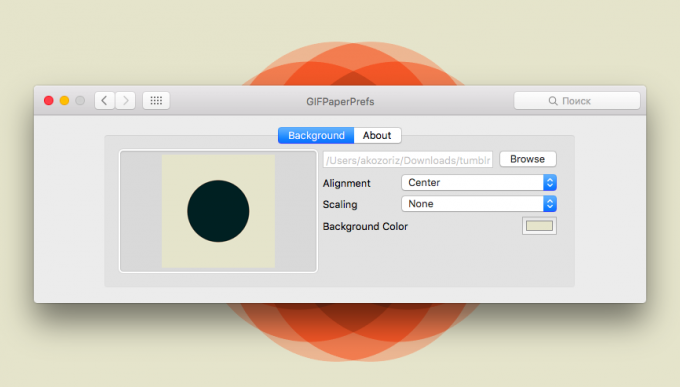 Wallpaper Untuk Mac: memilih latar belakang yang cocok untuk SIFCO