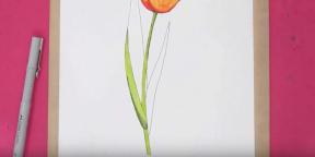 15 cara menggambar tulip yang indah