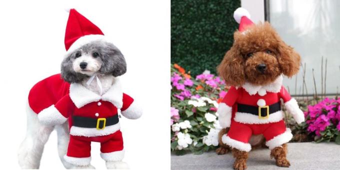 kostum Natal untuk anjing woofing Santa