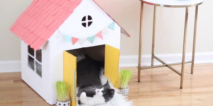 Cara membuat rumah satu lantai untuk kucing dengan tangannya sendiri: menggantung bendera dan gagang pintu