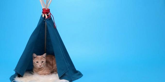 Cara membuat rumah-tenda untuk kucing dari rel dan kain dengan tangan Anda
