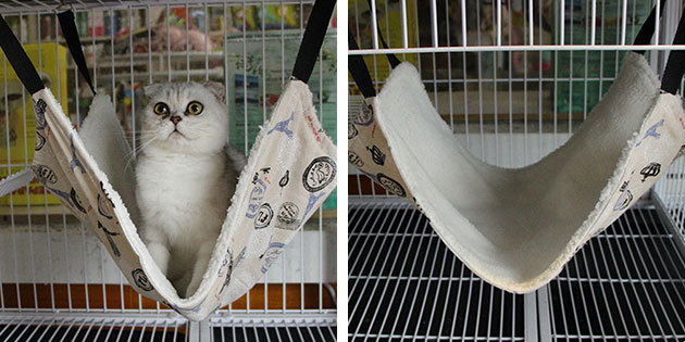 Hammock untuk kucing