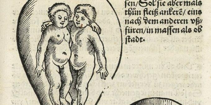 Anak-anak Abad Pertengahan: Kembar dalam Rahim, Eucharius Rodion