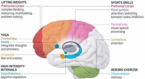 Bagaimana berbagai jenis latihan mempengaruhi otak kita