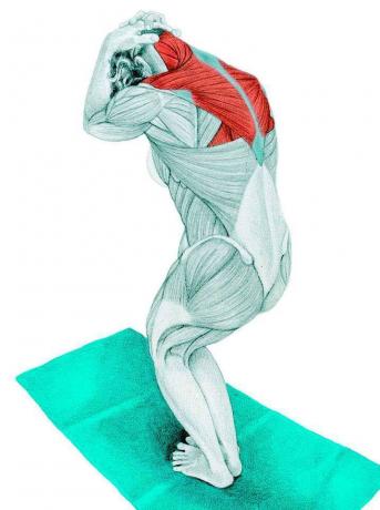 Anatomi peregangan: peregangan leher dalam posisi berdiri