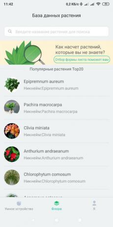 Pintar pot bunga Youpin Pot Bunga: manajemen smartphone