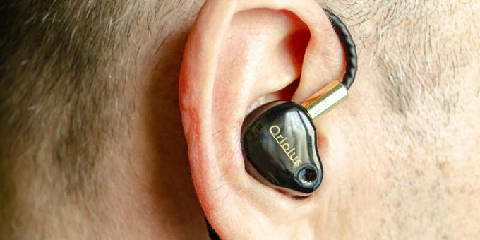 headphone audiophile Oriolus Finschi: penanaman di telinga