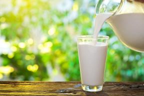 Mana susu: kebenaran dan mitos tentang produksi