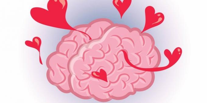 fakta tentang otak: Cinta