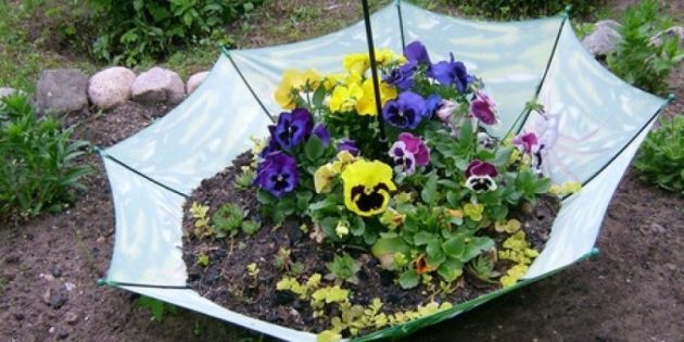 Cara membuat tempat tidur bunga hal-hal lama dengan tangan mereka sendiri
