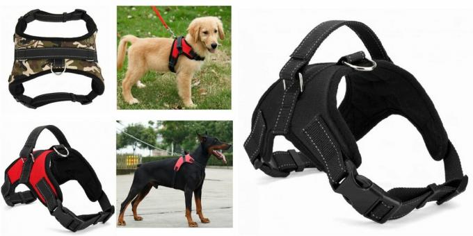 Produk untuk mengajak anjing berjalan-jalan: tali kekang