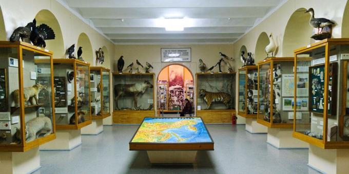 Museum Kebudayaan Lokal Saratov