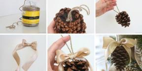 10 cara untuk membuat keren mainan Natal dengan tangan mereka sendiri