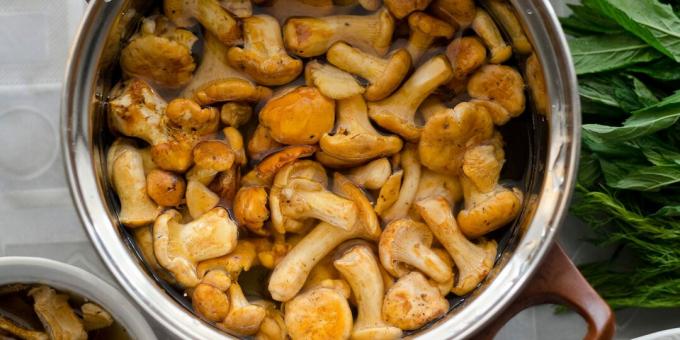 Bagaimana dan berapa banyak untuk memasak chanterelles