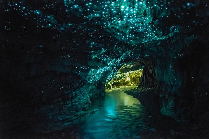 Gua dengan kunang-kunang Waitomo Glowworm 