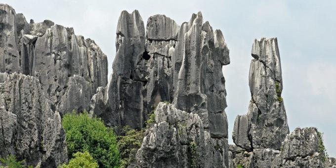wilayah Asia sengaja menarik wisatawan: Shilin Stone Forest, Cina