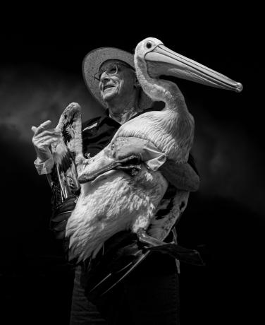 Pemilik Pelican oleh Tony Lowe