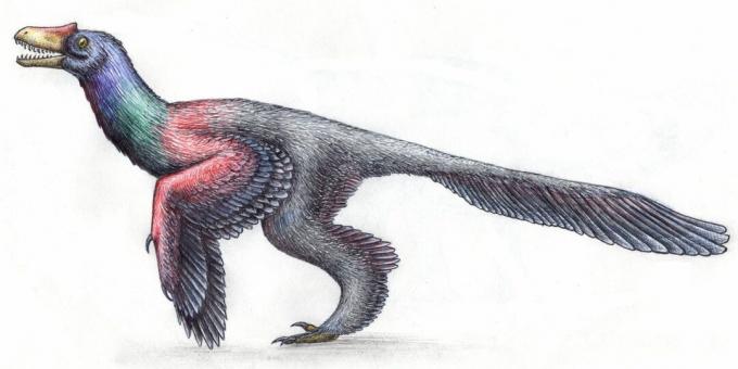 Mitos kuno: dinosaurus tampak seperti reptil