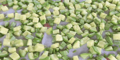 labu untuk musim dingin: zucchini Kering
