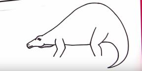 30 cara menggambar dinosaurus yang berbeda
