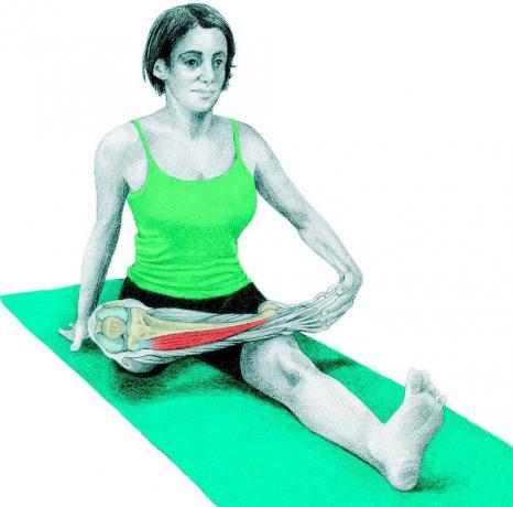 Anatomi peregangan: merpati posisi duduk