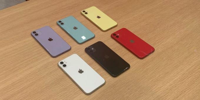 iPhone 11: Warna