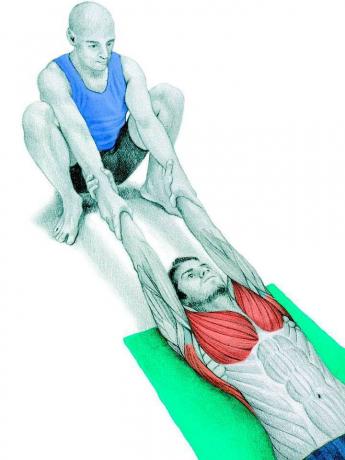 Anatomi peregangan: peregangan otot-otot dada