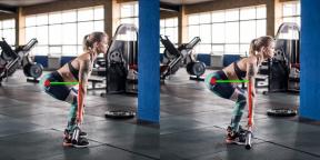 Biomekanik di gym untuk memompa otot, menggunakan prinsip tuas