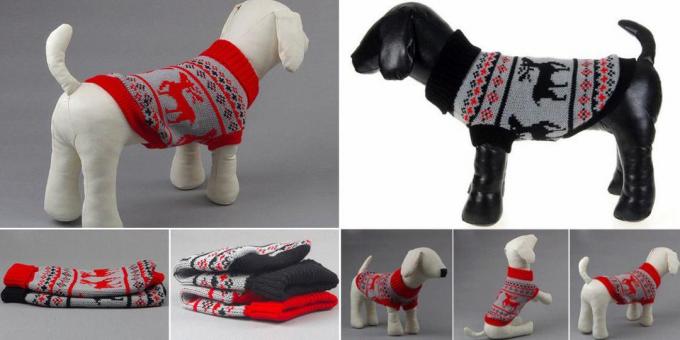 Sweater untuk anjing