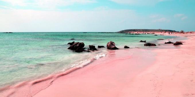 Tempat luar biasa indah: pantai merah muda di Sardinia, Italia