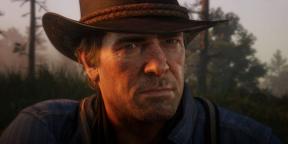 Cara bermain Red Dead Redemption 2: tips untuk pemula