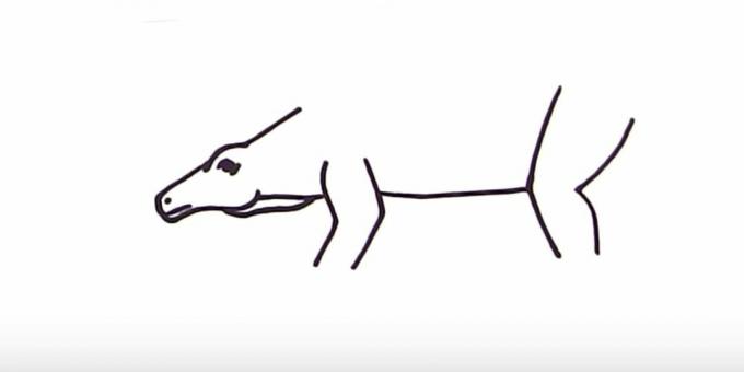 Cara menggambar Stegosaurus: tambahkan perut dan kaki belakang