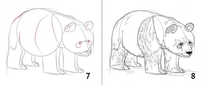 Cara menggambar panda