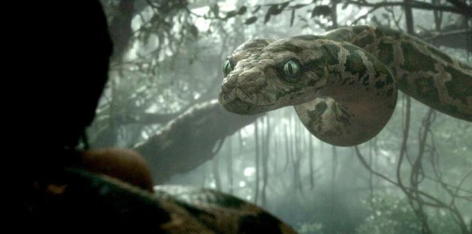 Ditembak dari film tentang ular "The Jungle Book"