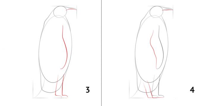 Cara menggambar seekor penguin