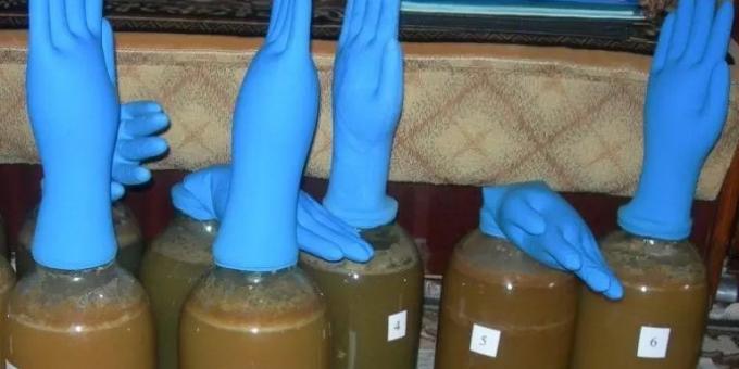 segel air untuk sari dengan mudah membuat sarung tangan