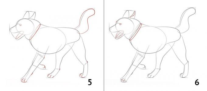 Cara menggambar anjing