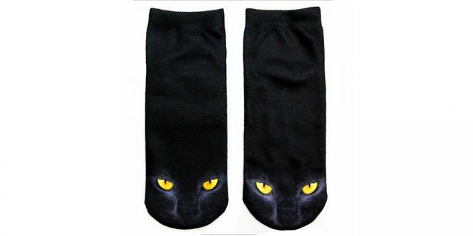 Socks dengan kucing