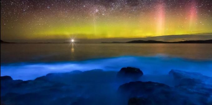 Tempat luar biasa indah: perairan bioluminescent lepas pantai Tasmania